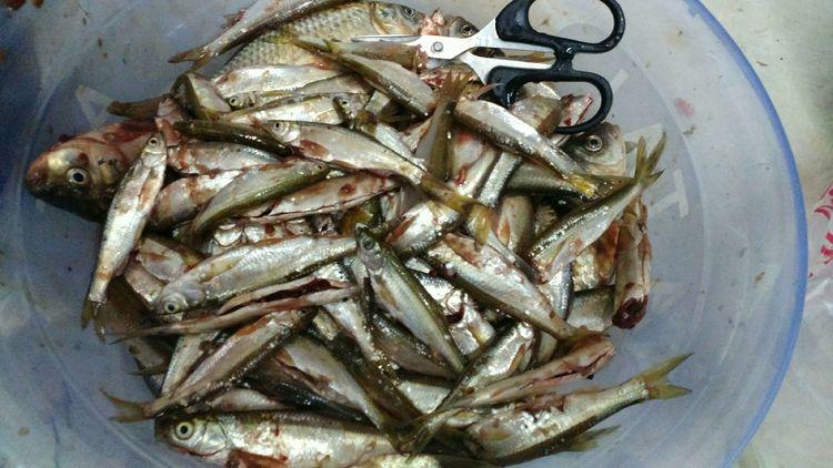 昆明最新野釣地點(diǎn)探索，重拾生活激情與自信的自然之旅