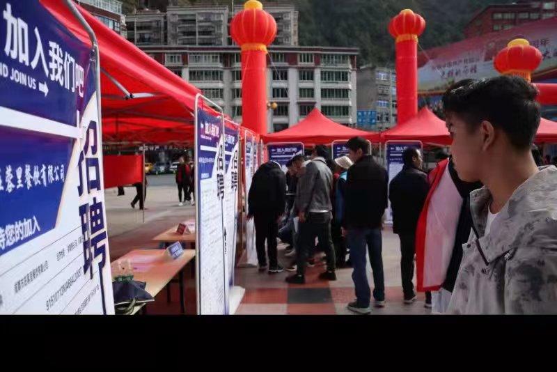 青白江招聘信息探索，小巷中的職業(yè)機遇