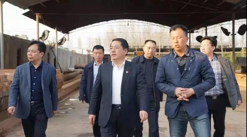 商丘王仲田最新動(dòng)態(tài)，探索自然美景的旅行，尋求內心平和之旅