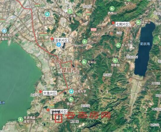 呈貢區發(fā)展動(dòng)態(tài)，巷弄深處的驚喜探索特色小店發(fā)展消息