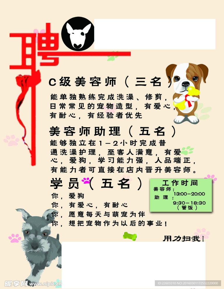 寵物店招聘最新動(dòng)態(tài)，共探自然之美，尋求內心寧靜