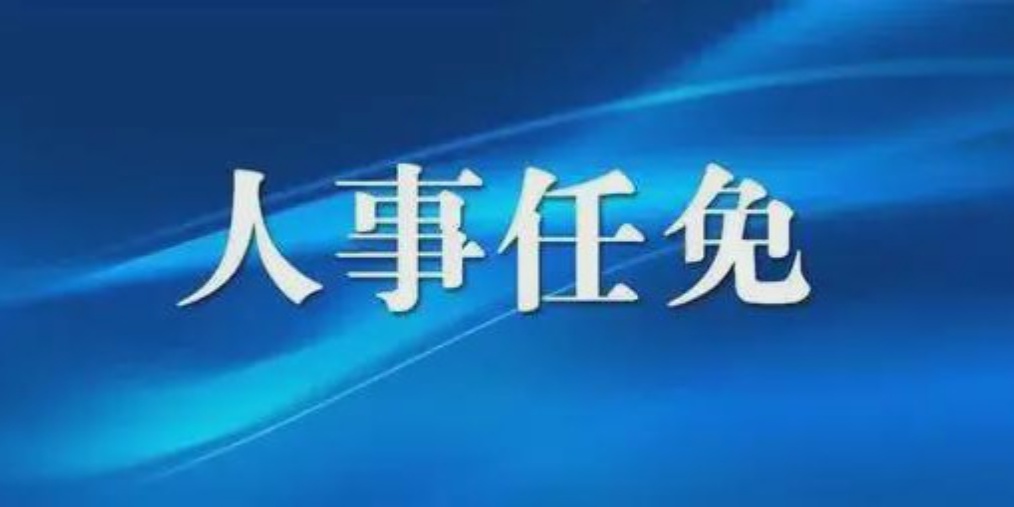 成都人事任免背后的故事，小巷獨特風(fēng)味小店與城市的脈動(dòng)