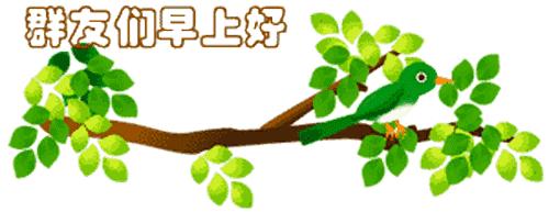 最新清晨祝福短信，晨曦中的溫暖問(wèn)候，傳遞美好祝愿與關(guān)懷