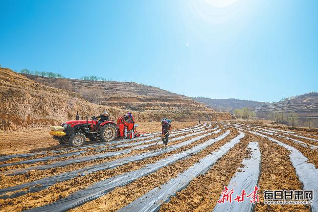 秦安最新新聞，城市溫情日常溫馨小事報道