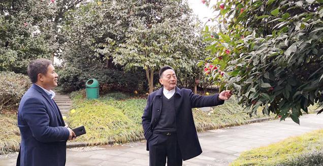 最新花木求購，開(kāi)啟一場(chǎng)尋綠之旅的溫馨旅程