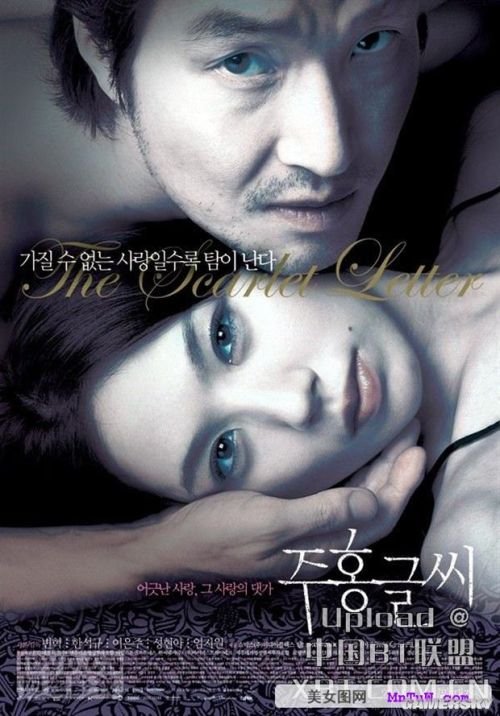 最新內地倫理電影探索與啟示，揭示社會(huì )倫理的啟示與價(jià)值