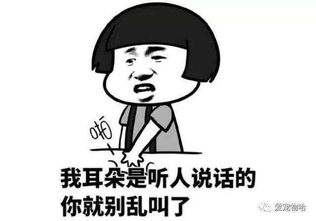 最新枕邊笑話(huà)，科技小寶貝，生活添樂(lè )趣