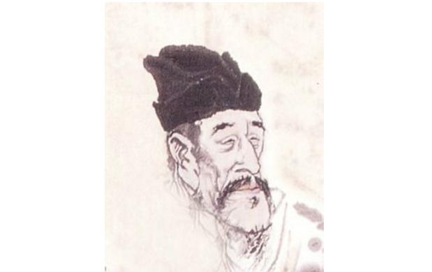 最新孤雁圖片，展現自然之美與深意的瞬間