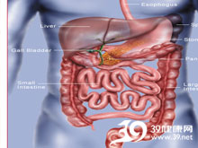 高科技產(chǎn)品重塑生活，體驗前沿魅力，探索腸鳴最新技術(shù)
