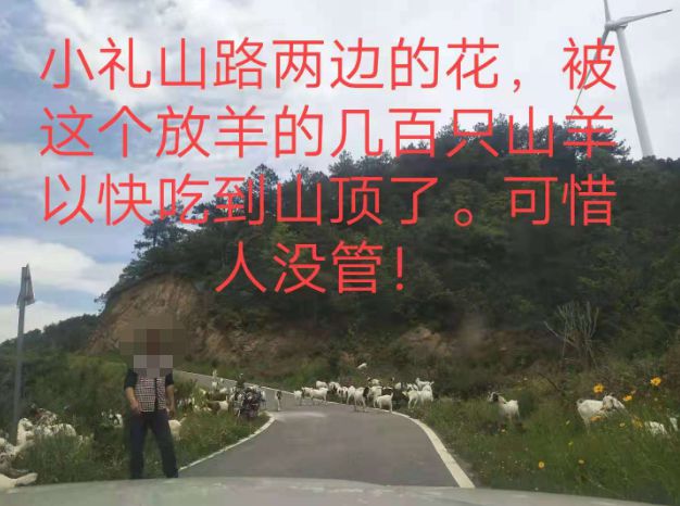 大悟最新路，探索未知，自信成就夢(mèng)想之旅的啟程