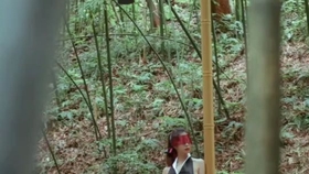 原野小年最新風(fēng)情，小巷深處的獨特魅力