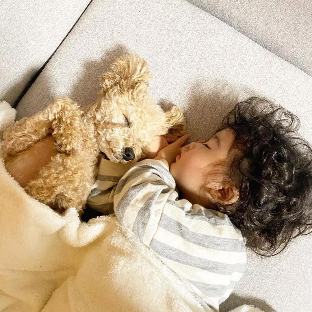 曬娃現象，多維解讀下的最新動(dòng)態(tài)分析