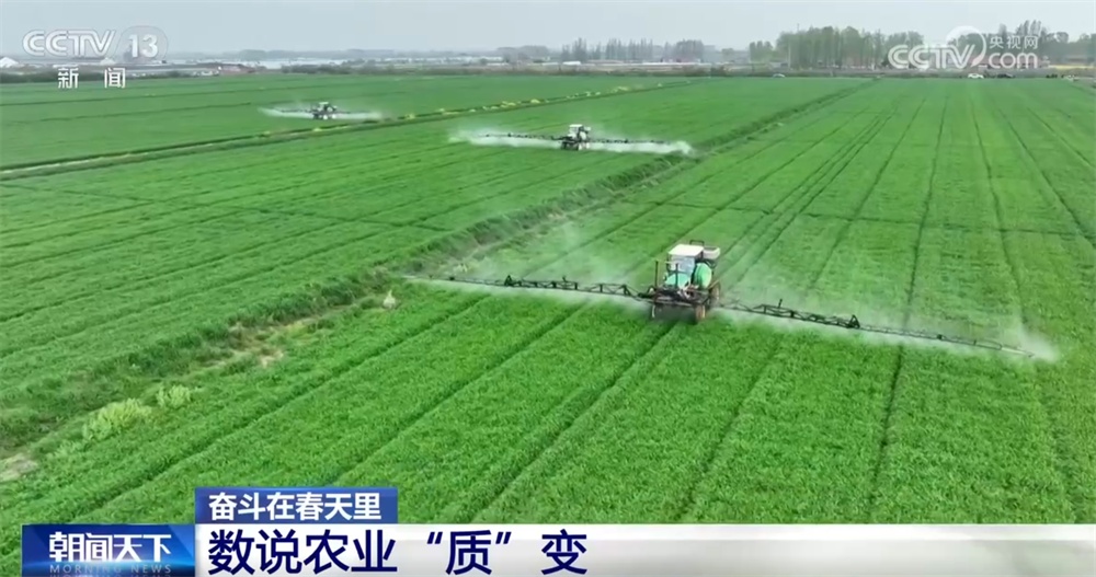 最新農業(yè)農村發(fā)展，播種希望，收獲自信與成就感