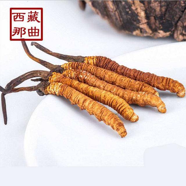 揭秘2025年蟲(chóng)草最新價(jià)格，探尋小巷中的秘密行情！