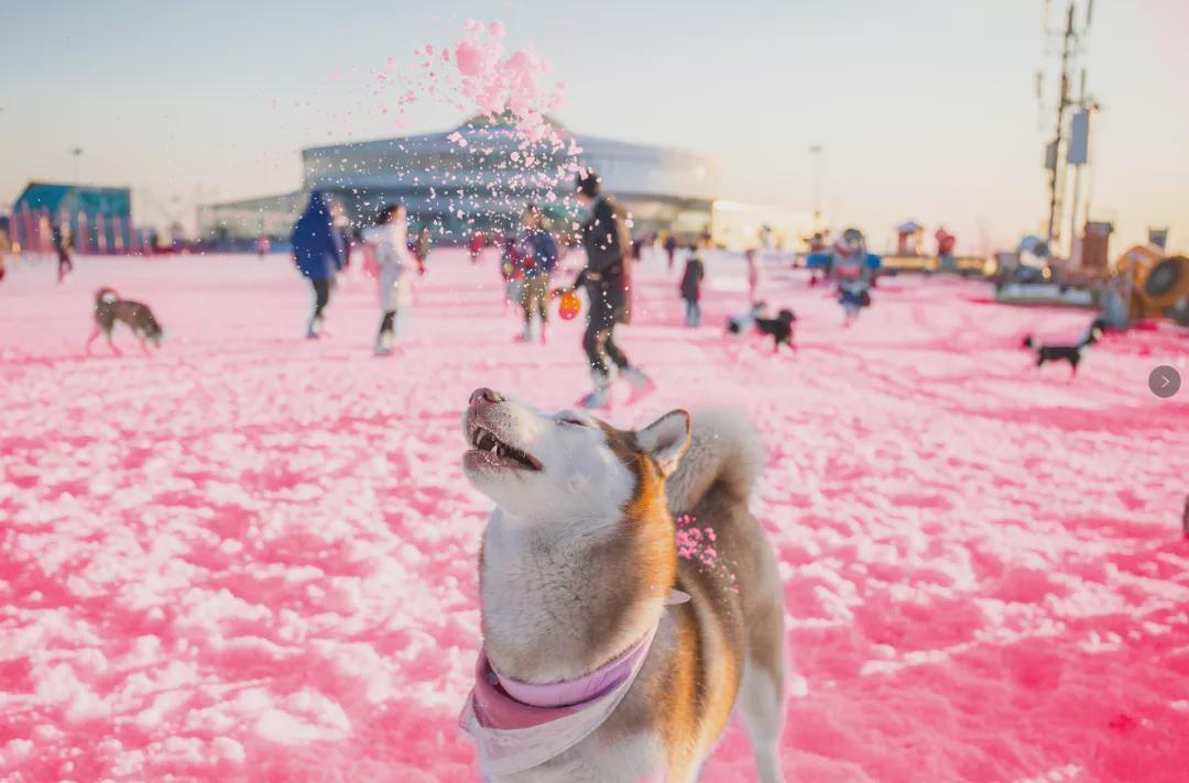 小信的世界最新科技前沿產(chǎn)品亮相，生活變革從此刻啟程