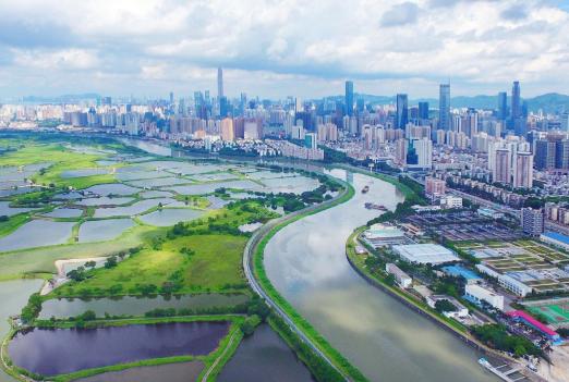 當下流行語(yǔ)探尋之旅，與大自然共舞，尋找內心平靜之旅